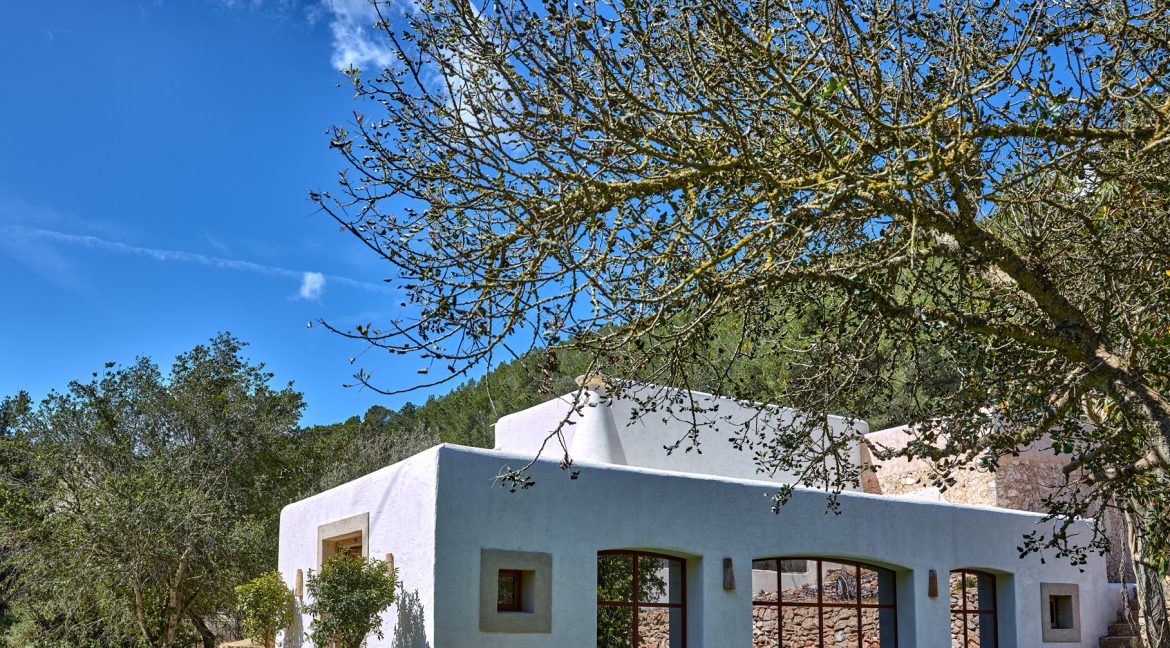 Can-Terra-Ibiza-Joy-2025-CF075718