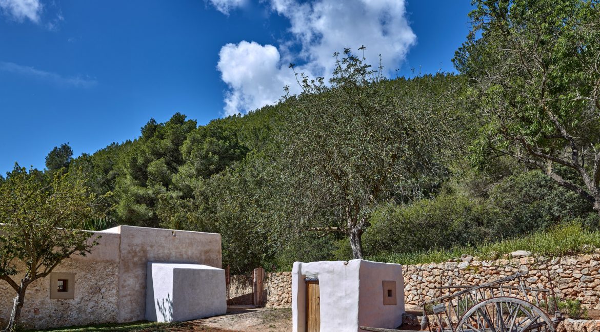 Can-Terra-Ibiza-Joy-2025-CF075723