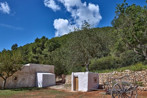 Can-Terra-Ibiza-Joy-2025-CF075723