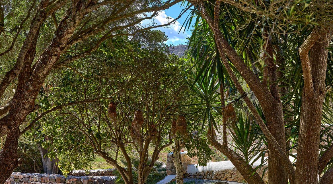 Can-Terra-Ibiza-Joy-2025-CF075741