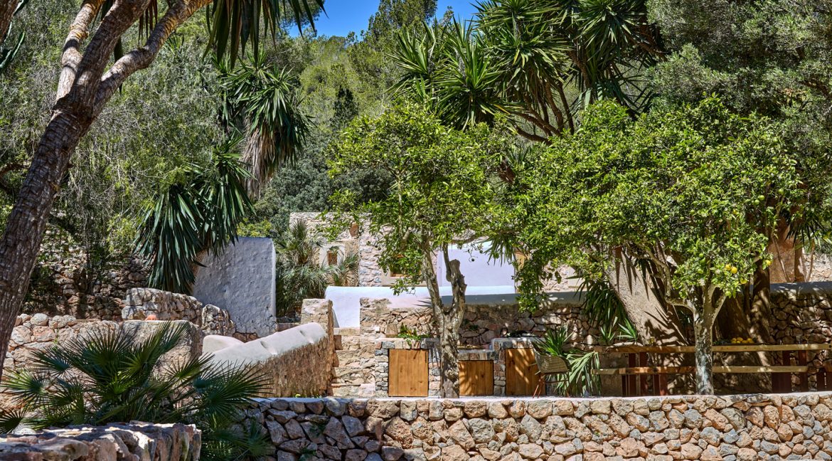 Can-Terra-Ibiza-Joy-2025-CF075765