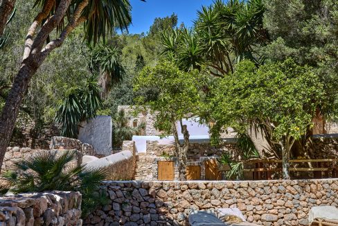 Can-Terra-Ibiza-Joy-2025-CF075765