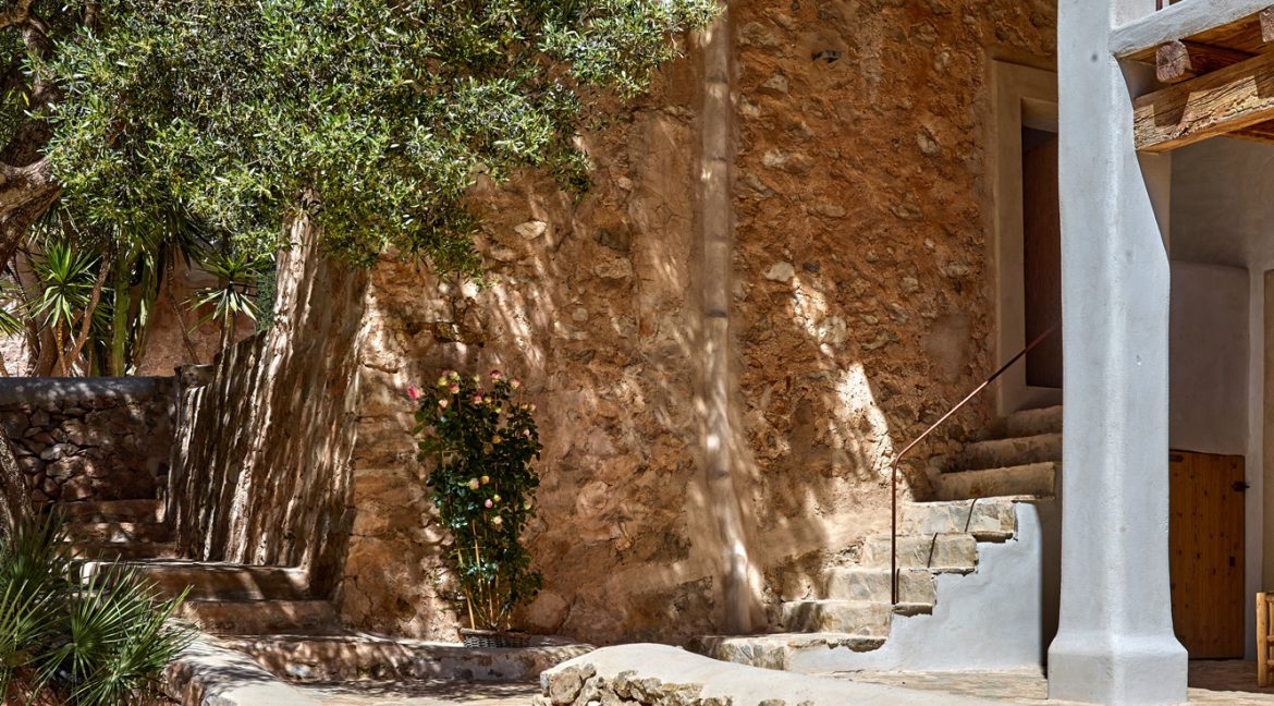 Can-Terra-Ibiza-Joy-2025-CF075780