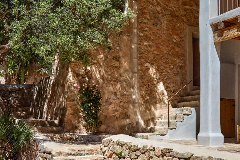 Can-Terra-Ibiza-Joy-2025-CF075780