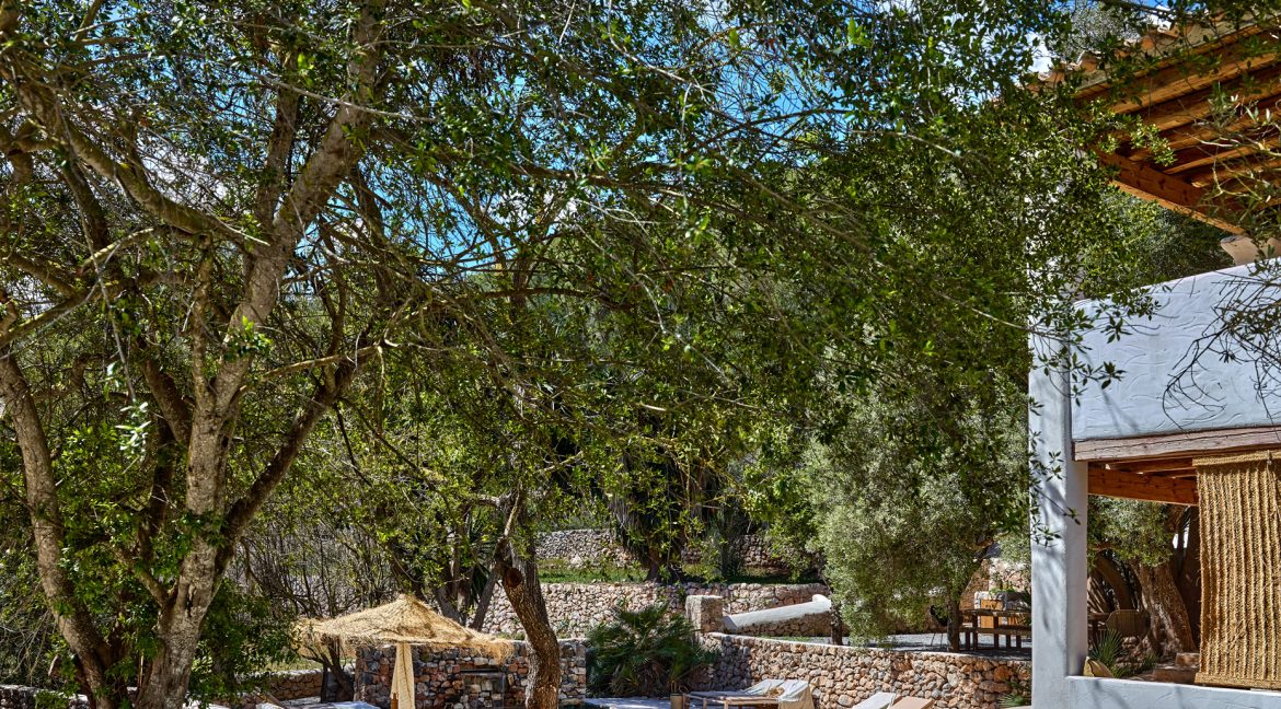 Can-Terra-Ibiza-Joy-2025-CF075793
