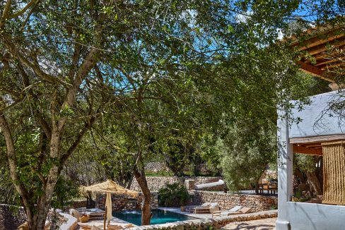 Can-Terra-Ibiza-Joy-2025-CF075793