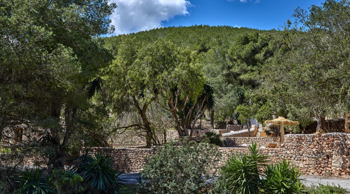 Can-Terra-Ibiza-Joy-2025-CF075794