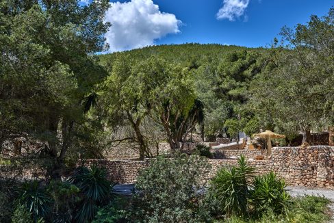 Can-Terra-Ibiza-Joy-2025-CF075794