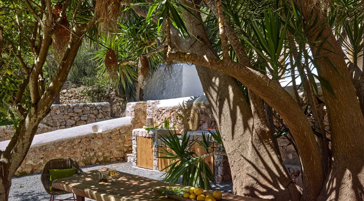 Can-Terra-Ibiza-Joy-2025-CF075799
