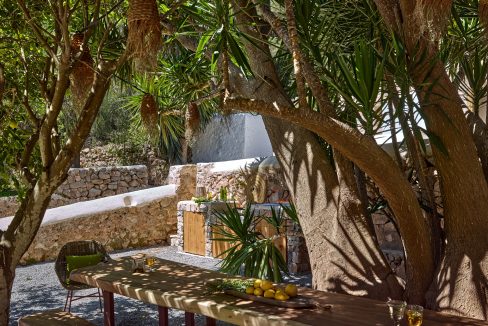 Can-Terra-Ibiza-Joy-2025-CF075799