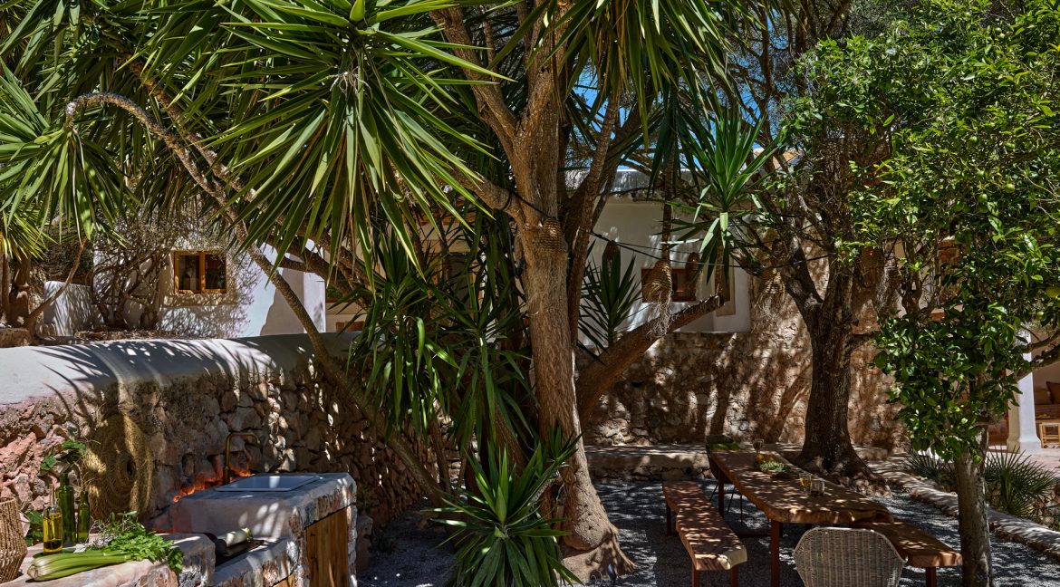 Can-Terra-Ibiza-Joy-2025-CF075804