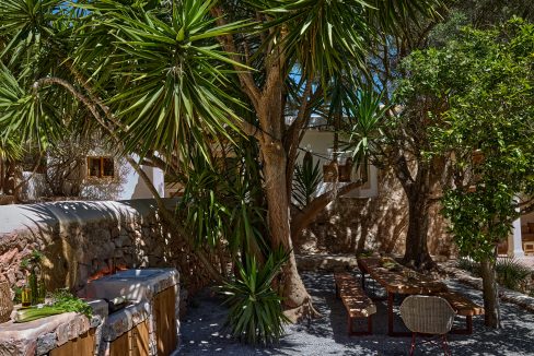 Can-Terra-Ibiza-Joy-2025-CF075804