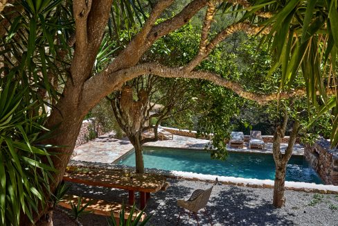 Can-Terra-Ibiza-Joy-2025-CF075808